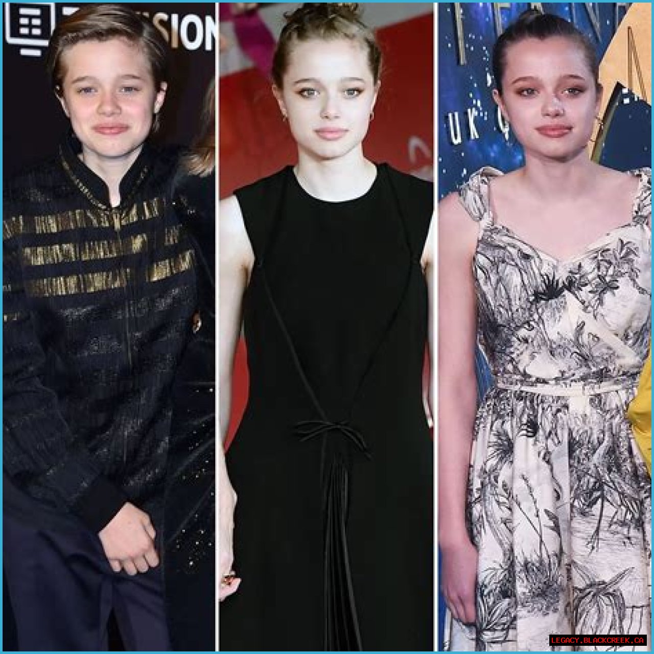 Discovering Shiloh Pitt: The Young Star In The Making